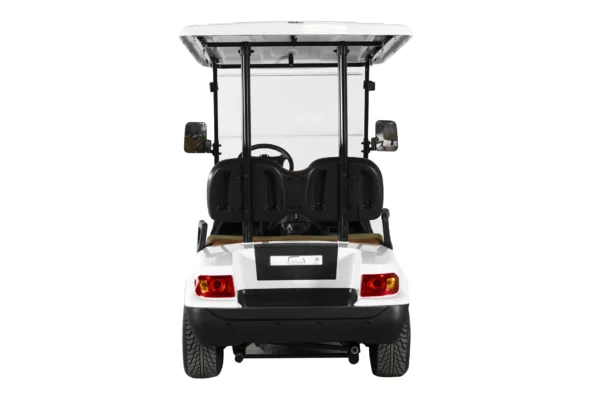 2 passenger - Image 3