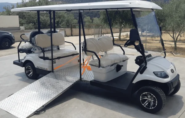 Handicapped - Image 2