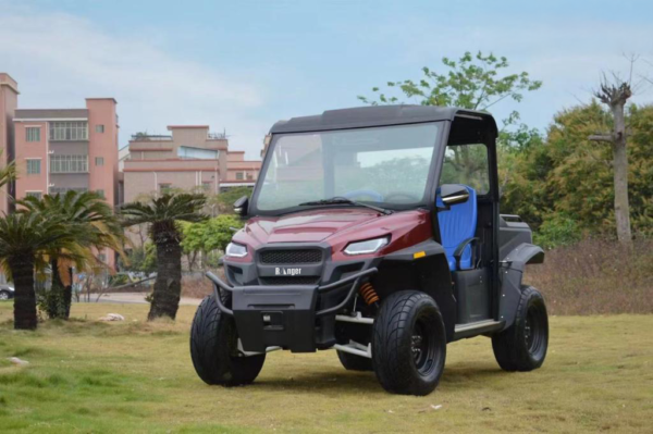 UTV  2 passenger