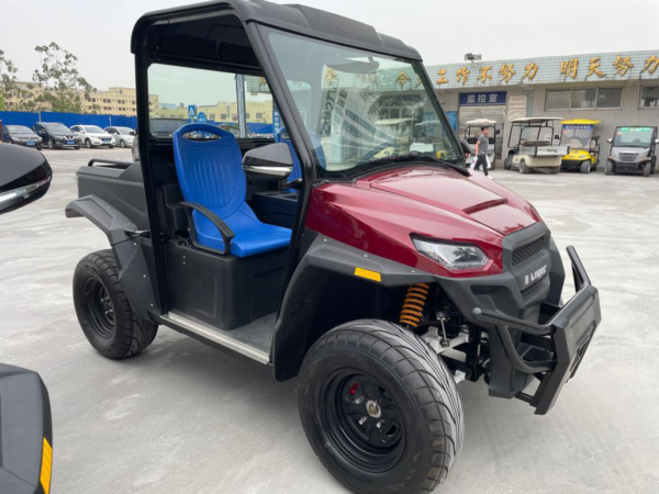 UTV  2 passenger - Image 2