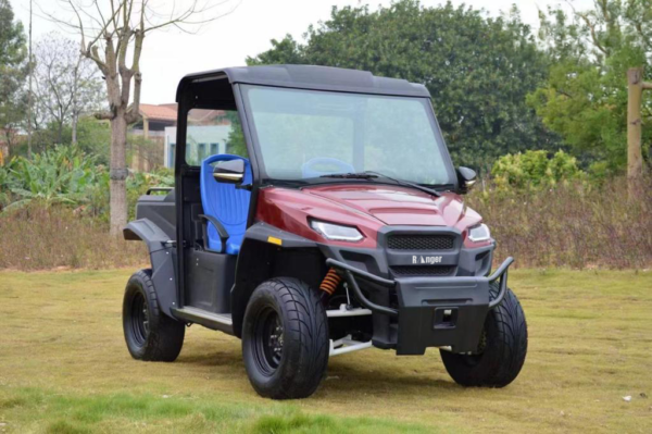 UTV  2 passenger - Image 3