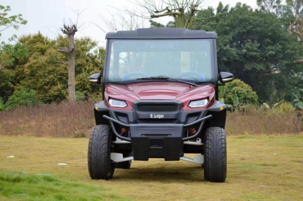 UTV  4 passenger - Image 2