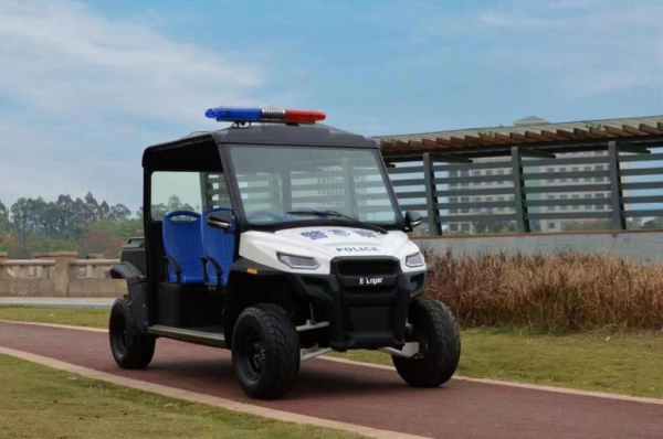 UTV  4 passenger