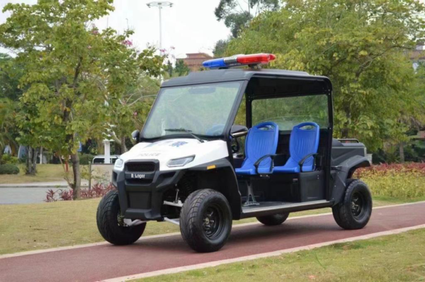 UTV  4 passenger - Image 3