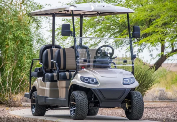 6 passenger