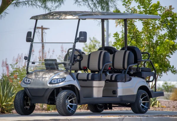 6 passenger - Image 2